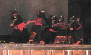 Performance_2956W