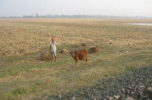 IMG_3208w