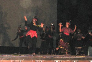 Performance_2952W