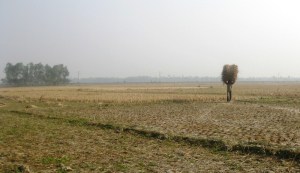 IMG_3157w