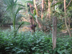 IMG_7442W IMG_7442W