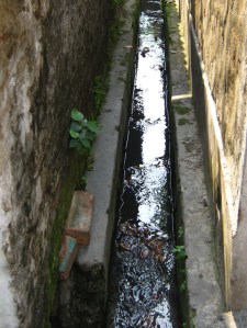 IMG_0203_crW