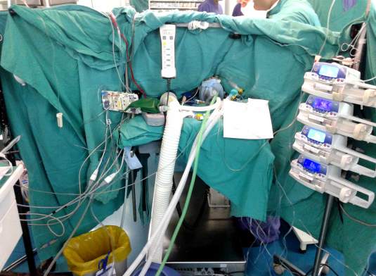 Tuni in the Operating Theater,