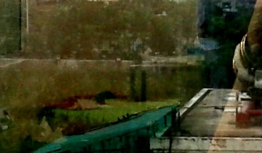 The canal 
